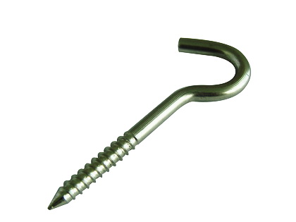 Hook screw