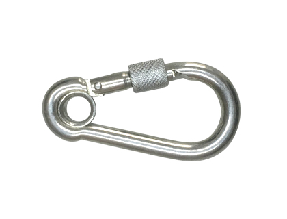 Snap hook with eyelet and screw